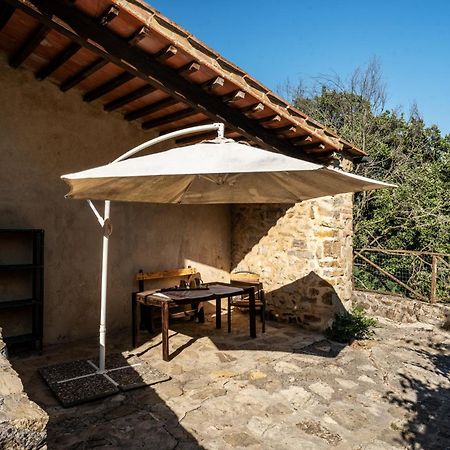 Agriturismo Santa Caterina Castelnuovo di Val di Cecina Exterior photo